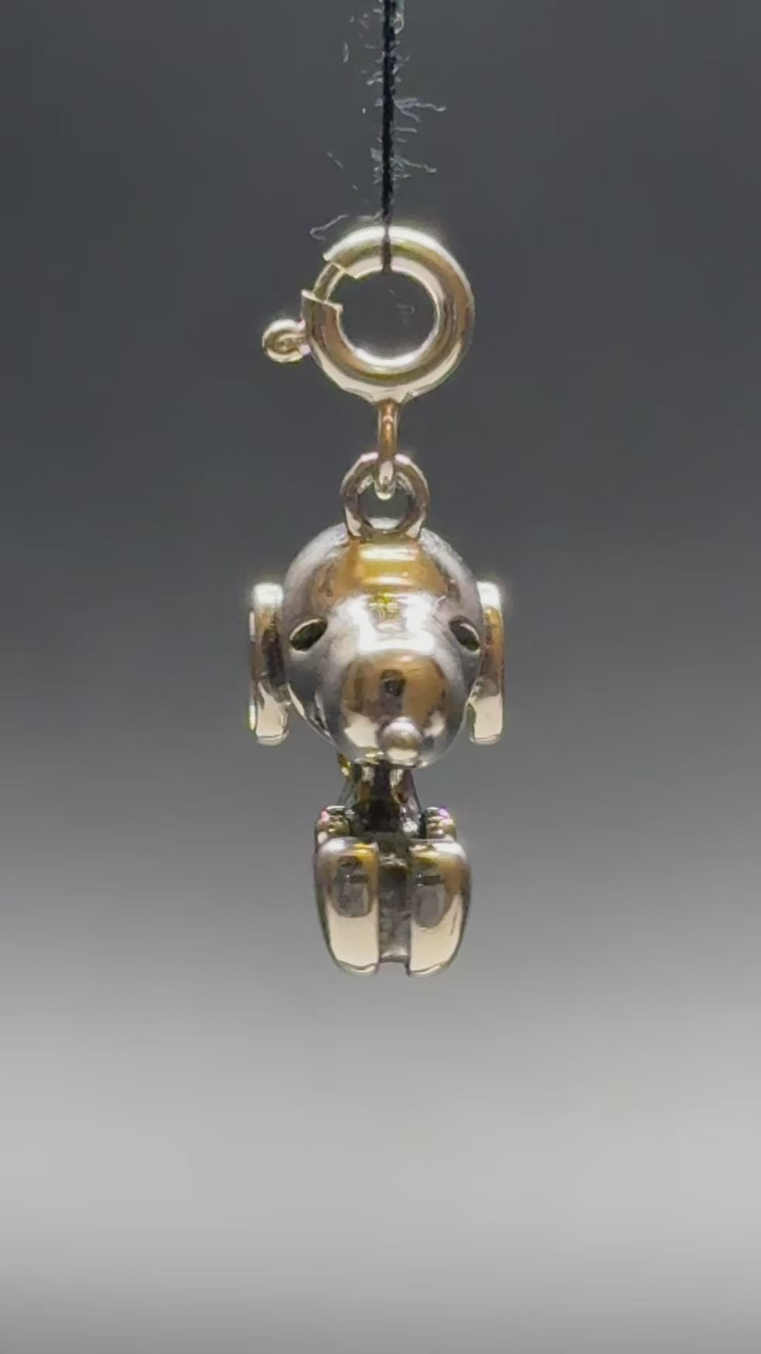 Snoopy Dog Silver Charm